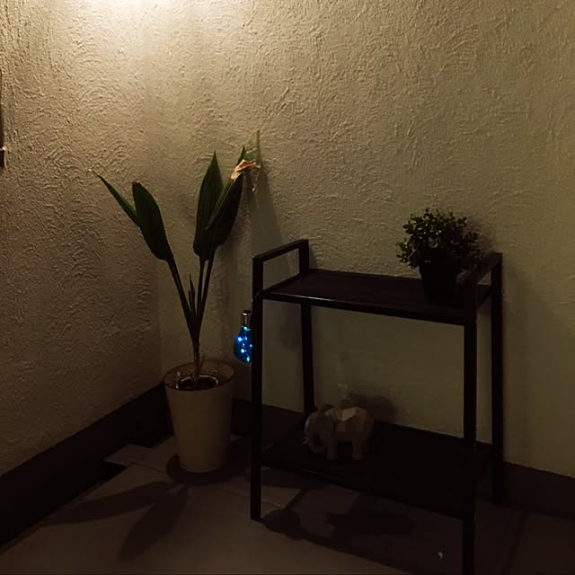 hamuさんの実例写真