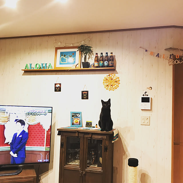 Momokaさんの実例写真
