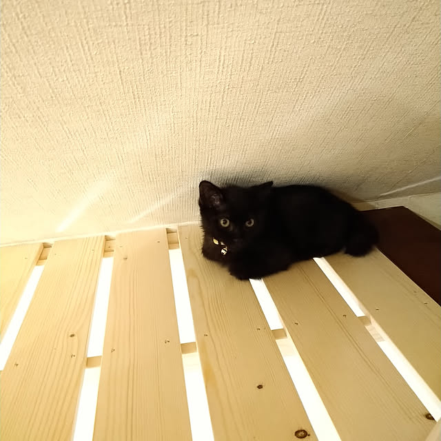 Tさんの実例写真