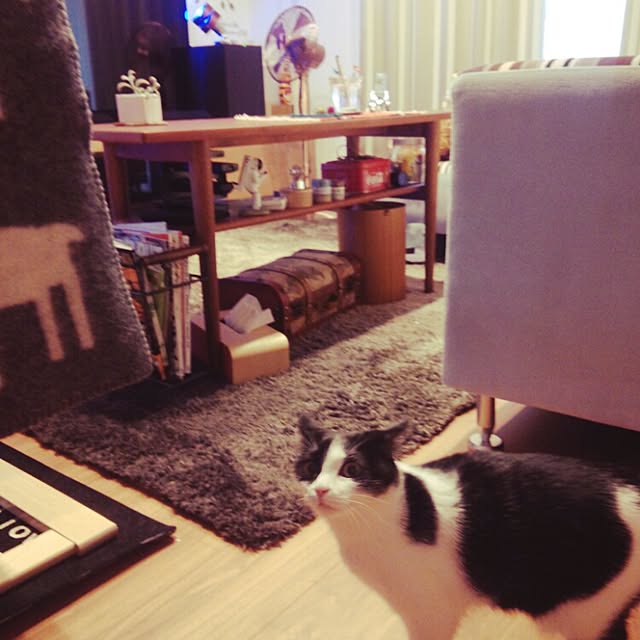 実例写真
