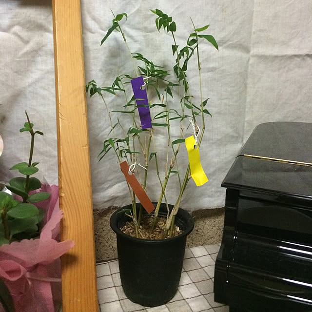 satominさんの実例写真