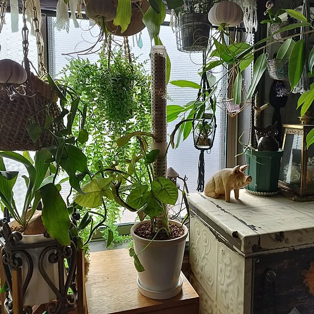 hiro3さんの部屋