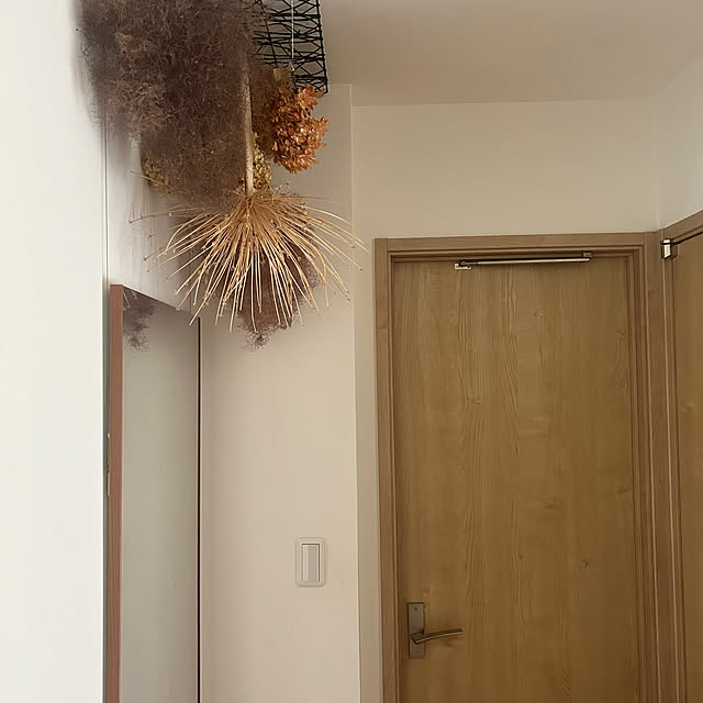 hatsugaさんの部屋
