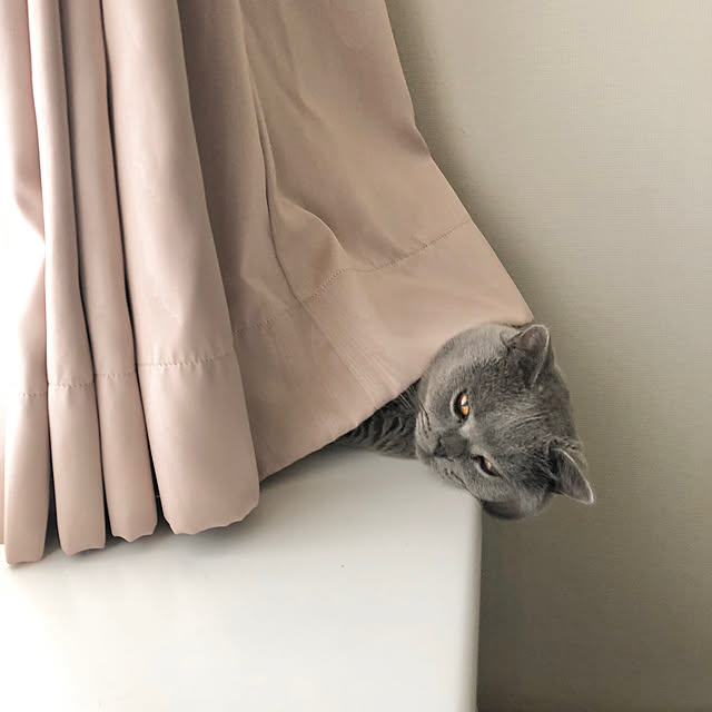 GUMIMINさんの実例写真