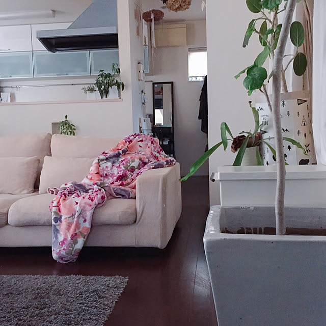 emさんの実例写真