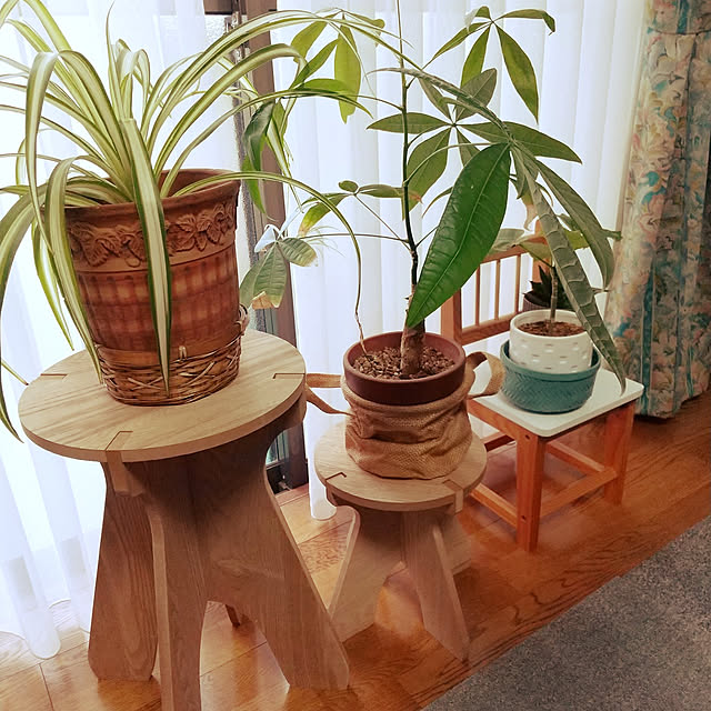 emibutaさんの実例写真