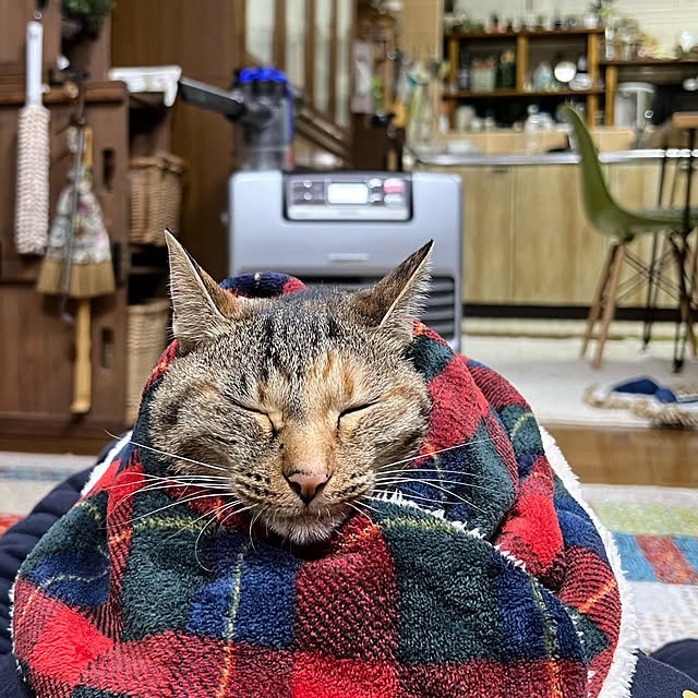 mohhaさんの実例写真