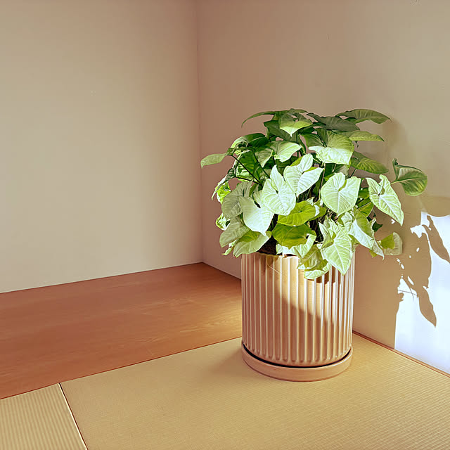 nao525さんの実例写真