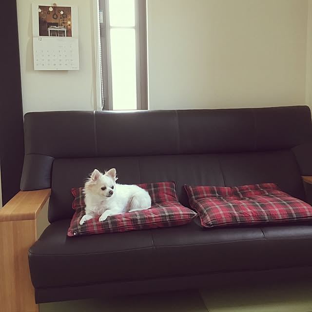 yan.chiffonさんの実例写真