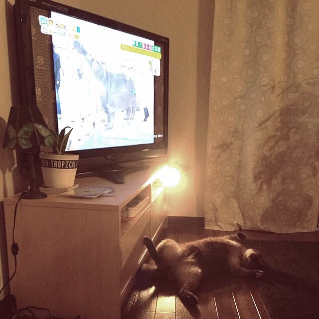 Takachikiさんの実例写真