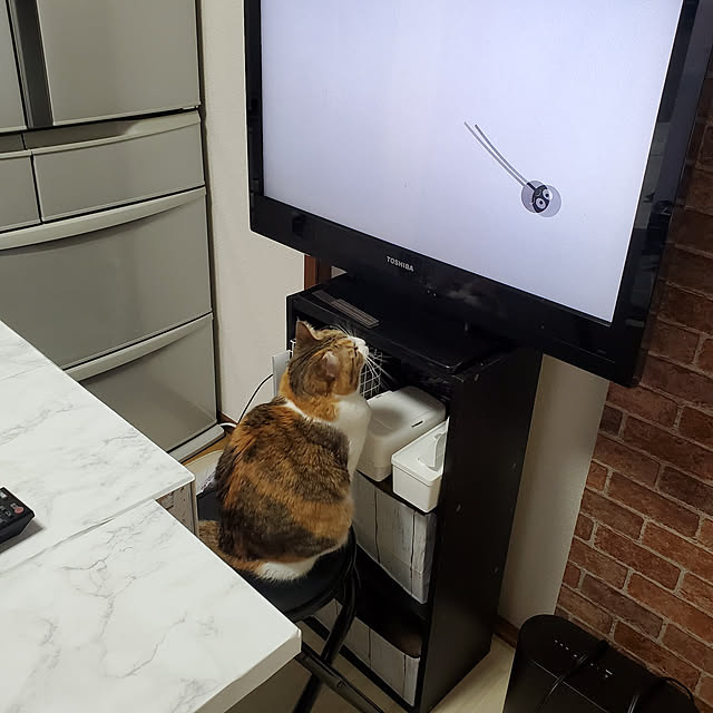 berariさんの実例写真