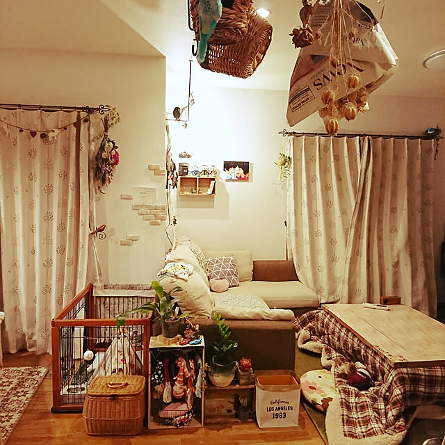 akiさんの実例写真