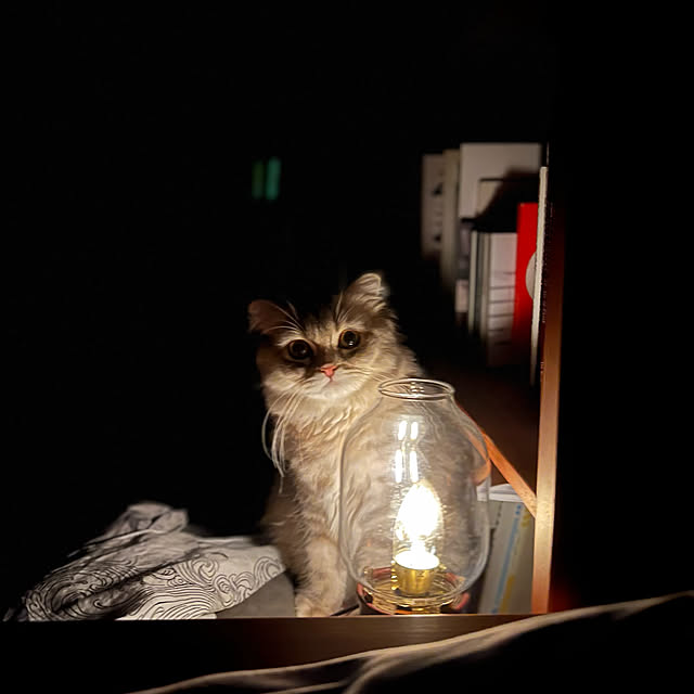 gfさんの実例写真