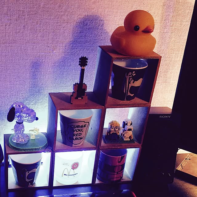 killer.dsさんの実例写真