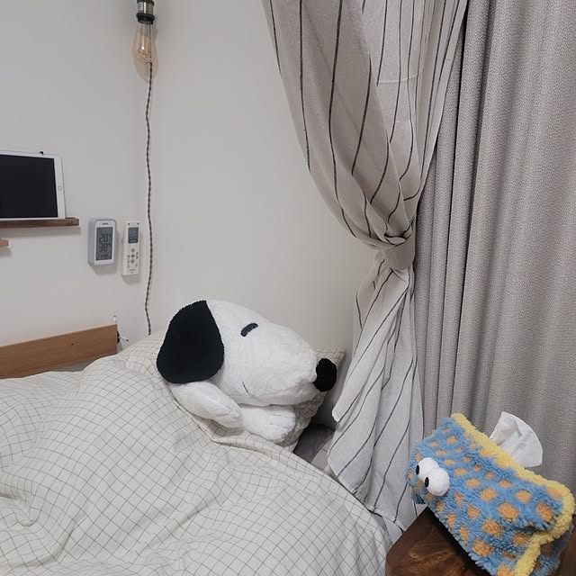 pocoさんの実例写真