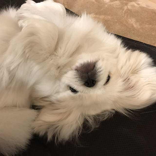 2500さんの実例写真