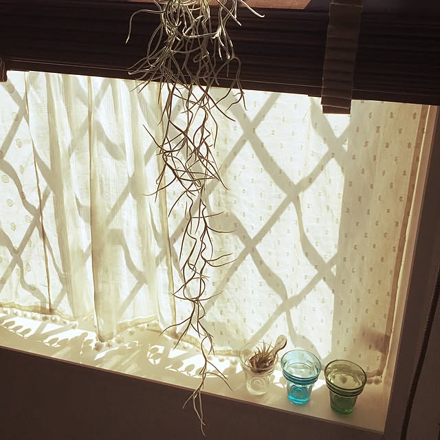 1286さんの実例写真