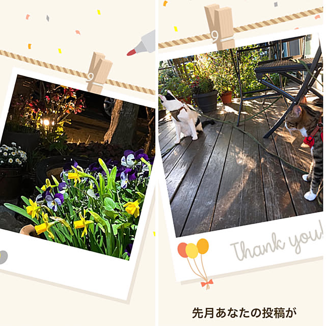 nobikoさんの実例写真