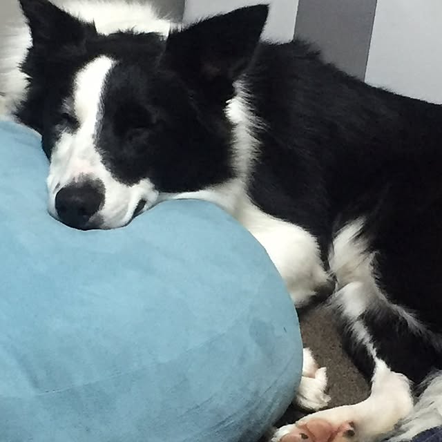 ranawalkさんの実例写真