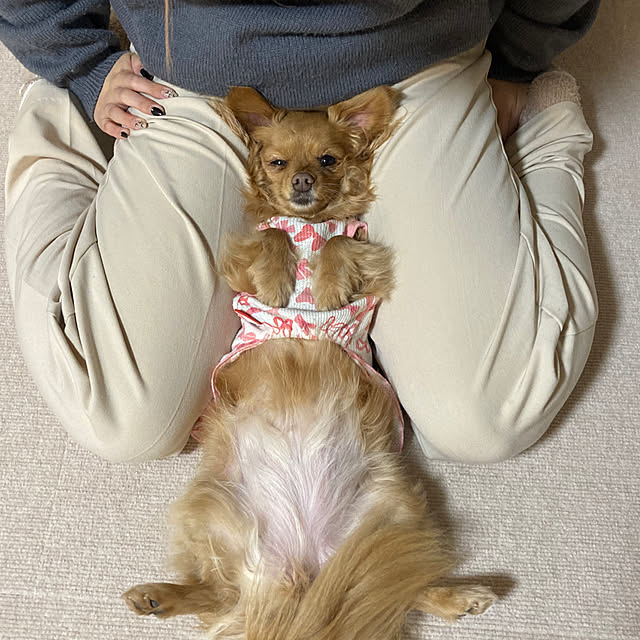 chachamamaさんの部屋
