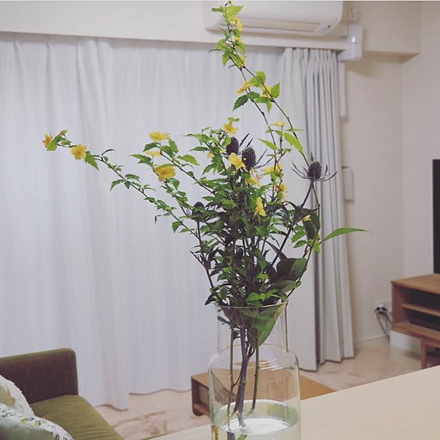 natsu._.logさんの実例写真
