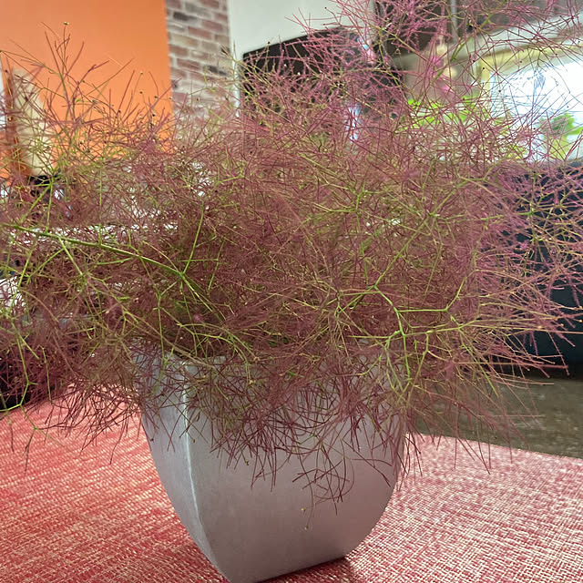 nanohanaさんの実例写真