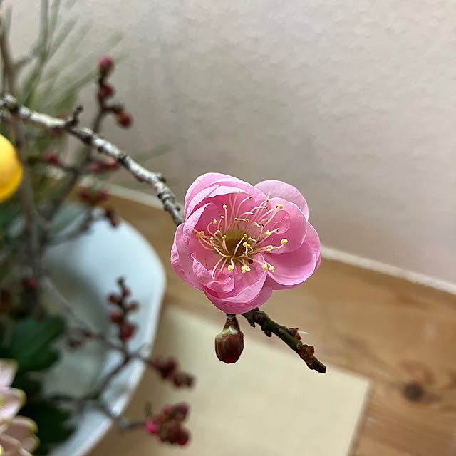 ikubooさんの部屋