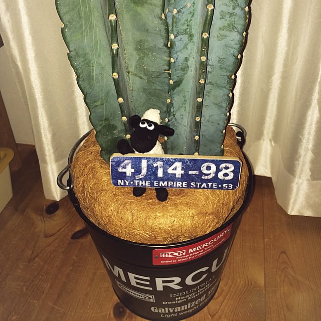 sesaminsanさんの実例写真
