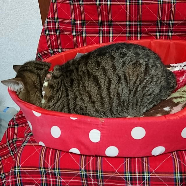 berariさんの実例写真
