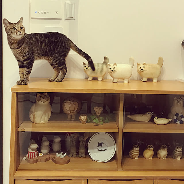 mpwさんの実例写真