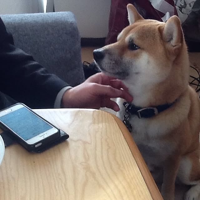 kotaさんの実例写真