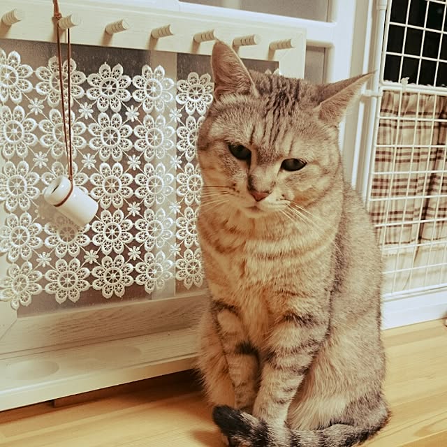 hanahanaさんの実例写真