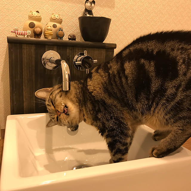 kaedeさんの実例写真