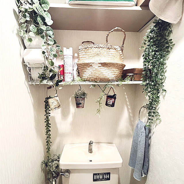 momoさんの実例写真