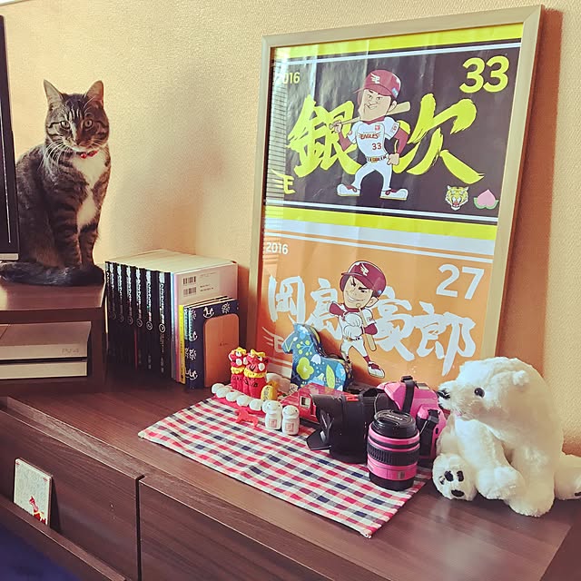 takami0501さんの実例写真