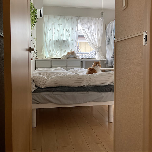 H.Tさんの実例写真