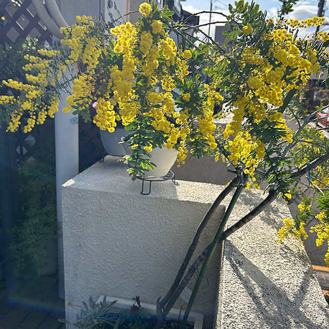 yu-chanさんの部屋