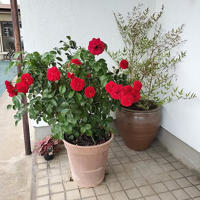 sumimarumiさんの部屋