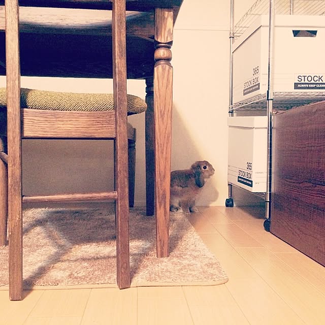 maytrucさんの実例写真