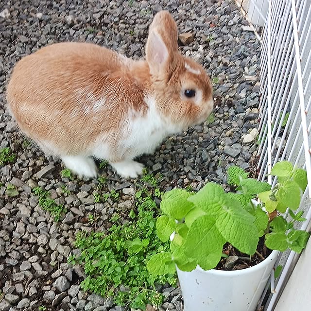 aiさんの部屋