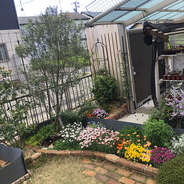 kezruさんの実例写真