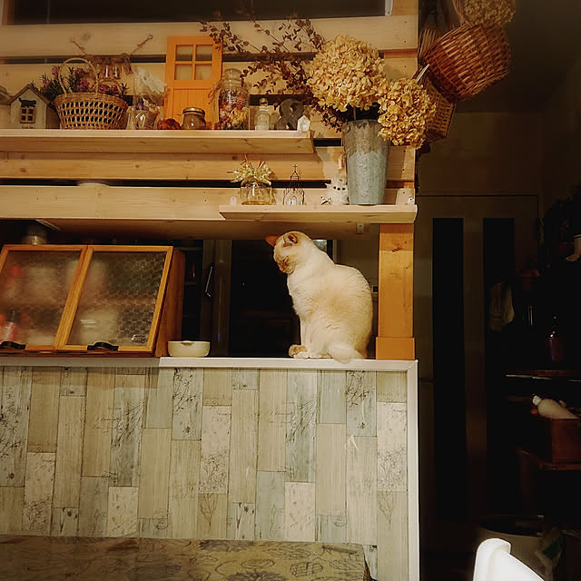 Gomaさんの実例写真