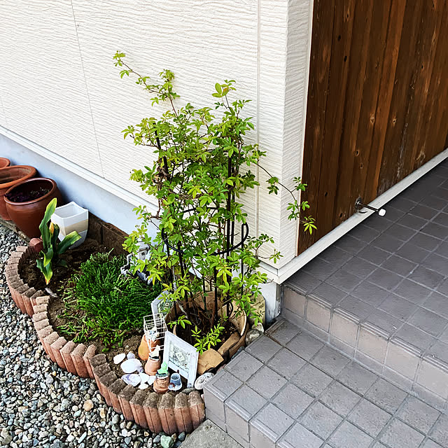 chiiyanさんの部屋