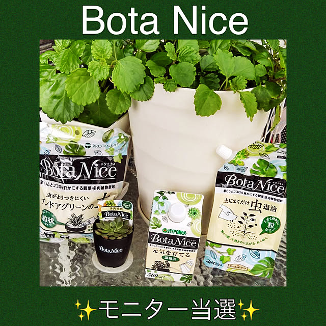 kimuraruさんの実例写真