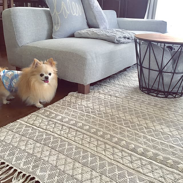 ponさんの実例写真
