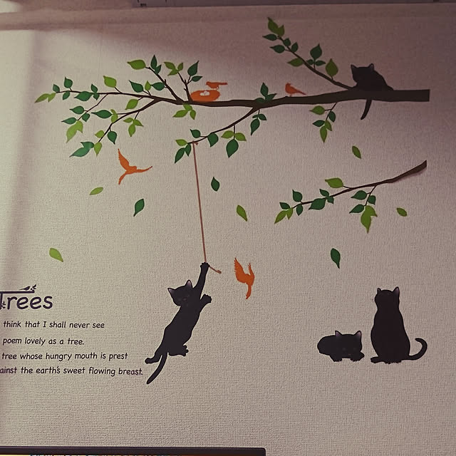 MapleLeafさんの実例写真