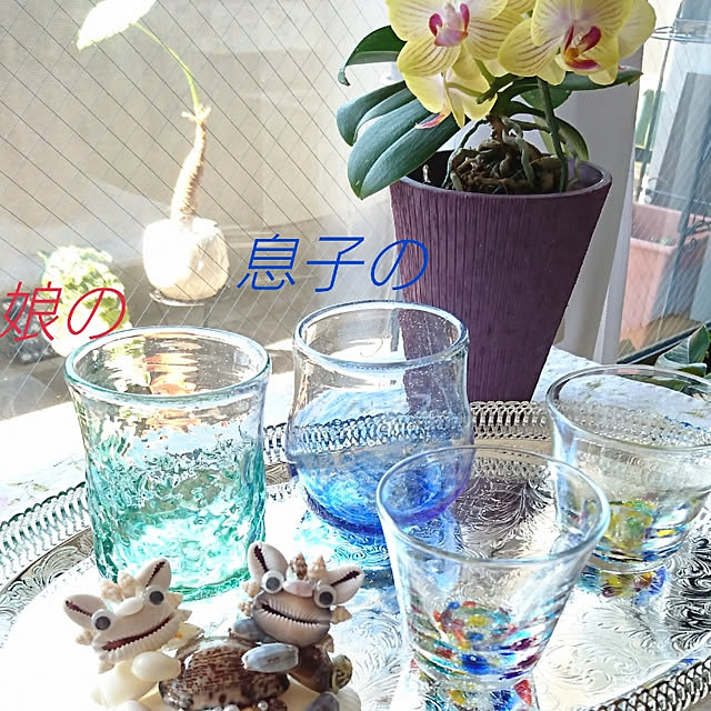 bonobono54さんの実例写真