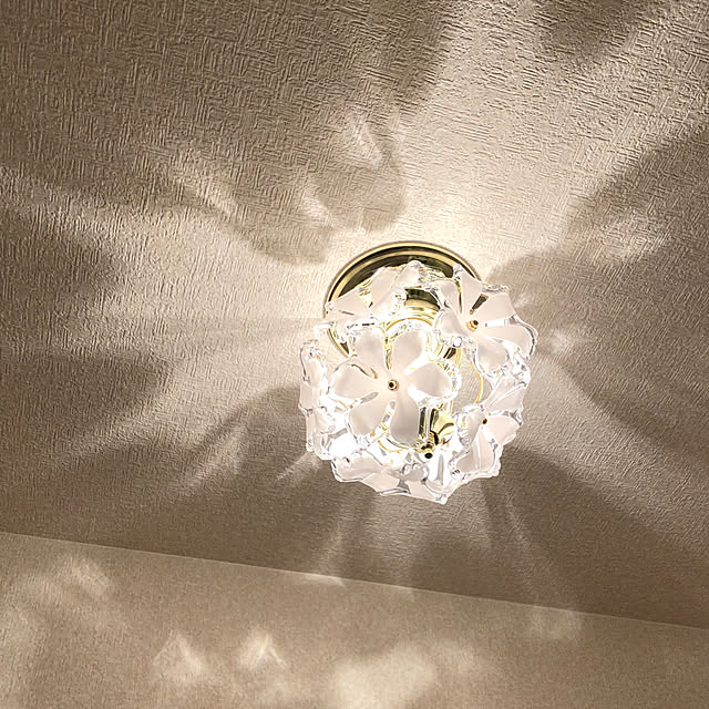 akanekoさんの実例写真