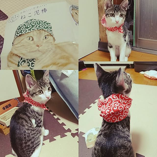 kiraさんの実例写真