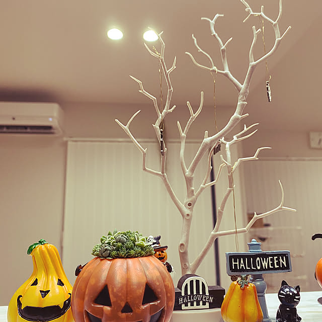 okapiさんの部屋